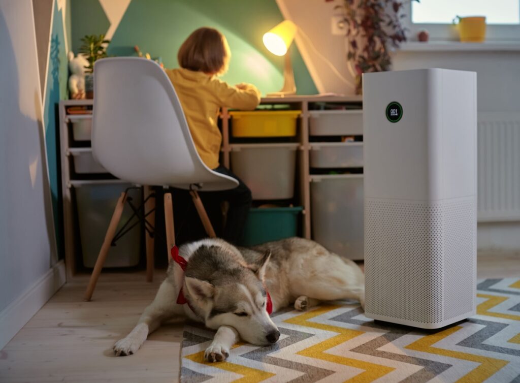 A young child doing homework in their room with their dog lying beside them and an air purifier running in the background